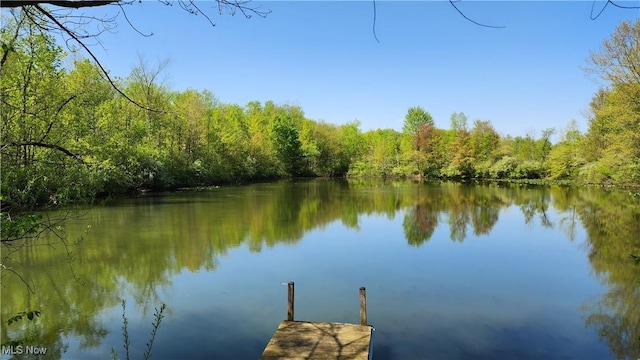 11466 Bloom Rd, Garrettsville, OH 44231 - dock area with a forest view and a water view