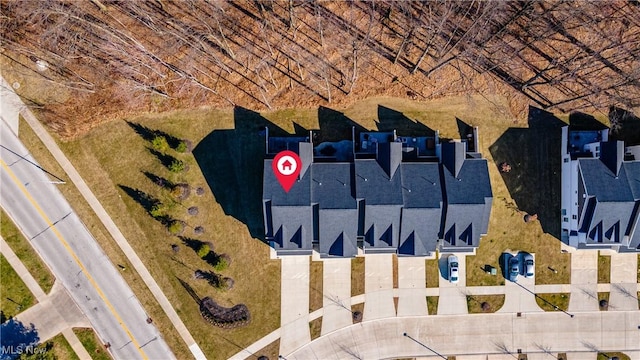 bird's eye view