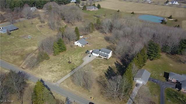 drone / aerial view