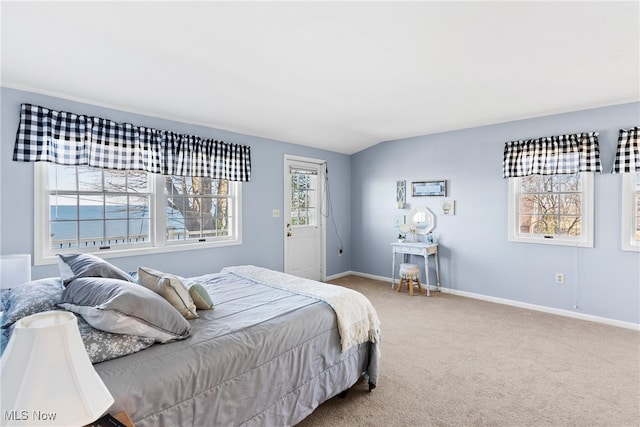 1122 Lake Rd, Conneaut, OH 44030 - carpeted bedroom with baseboards and lofted ceiling