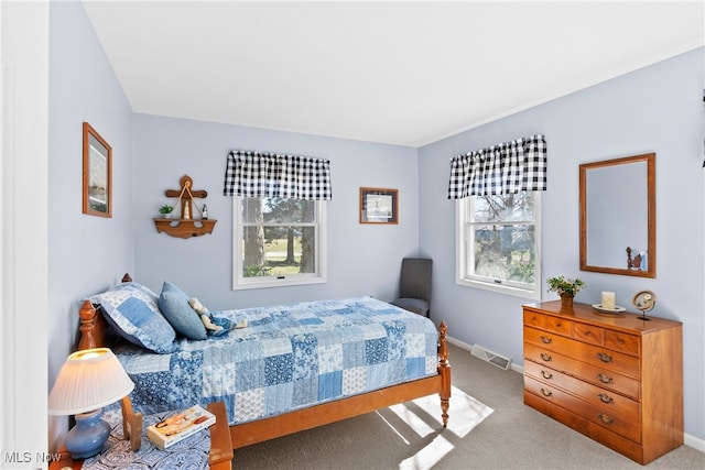 1122 Lake Rd, Conneaut, OH 44030 - bedroom featuring carpet flooring, baseboards, and visible vents