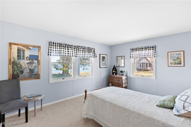 1122 Lake Rd, Conneaut, OH 44030 - bedroom featuring carpet and baseboards