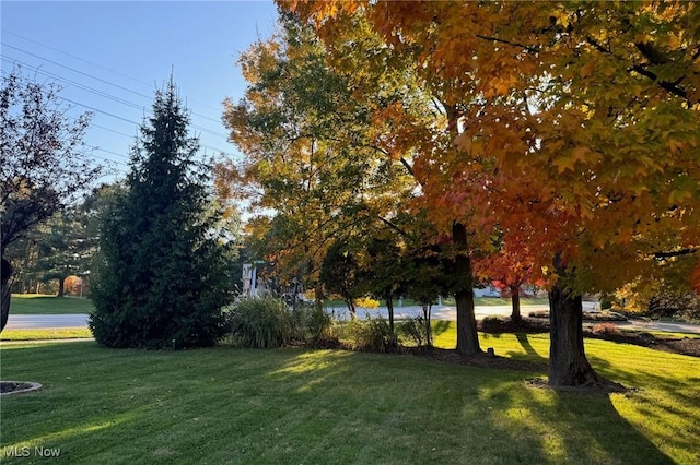 6335 Highland Rd, Highland Heights, OH 44143 - photo 33