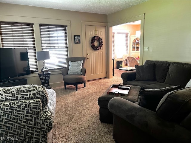 1275 Hollywood, Warren, OH 44483 - living room with carpet flooring and a textured ceiling