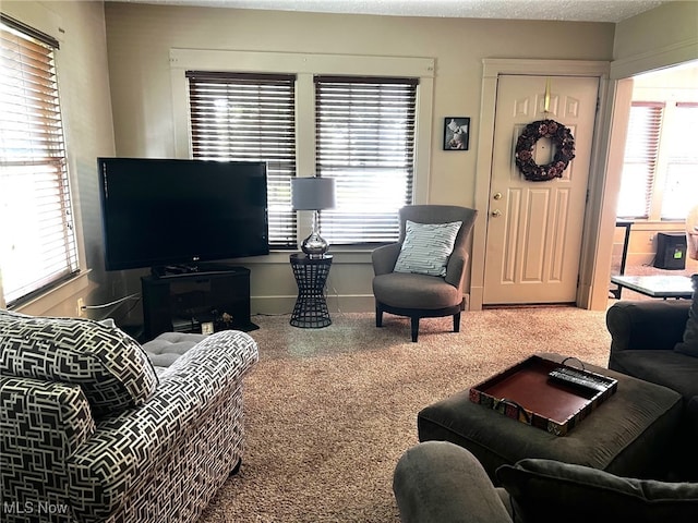 1275 Hollywood, Warren, OH 44483 - living area featuring carpet, healthy amount of natural light, and baseboards