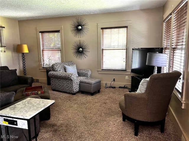 1275 Hollywood, Warren, OH 44483 - carpeted living room with baseboards and a textured ceiling
