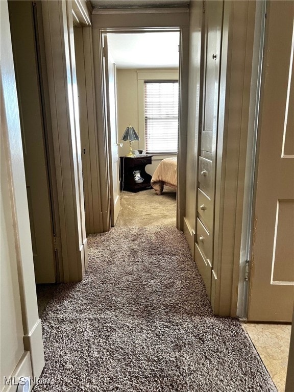 1275 Hollywood, Warren, OH 44483 - corridor featuring carpet floors