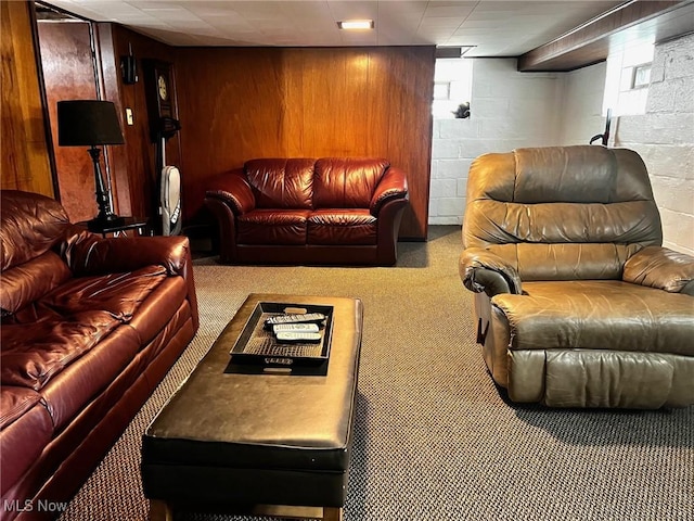1275 Hollywood, Warren, OH 44483 - carpeted living room featuring concrete block wall