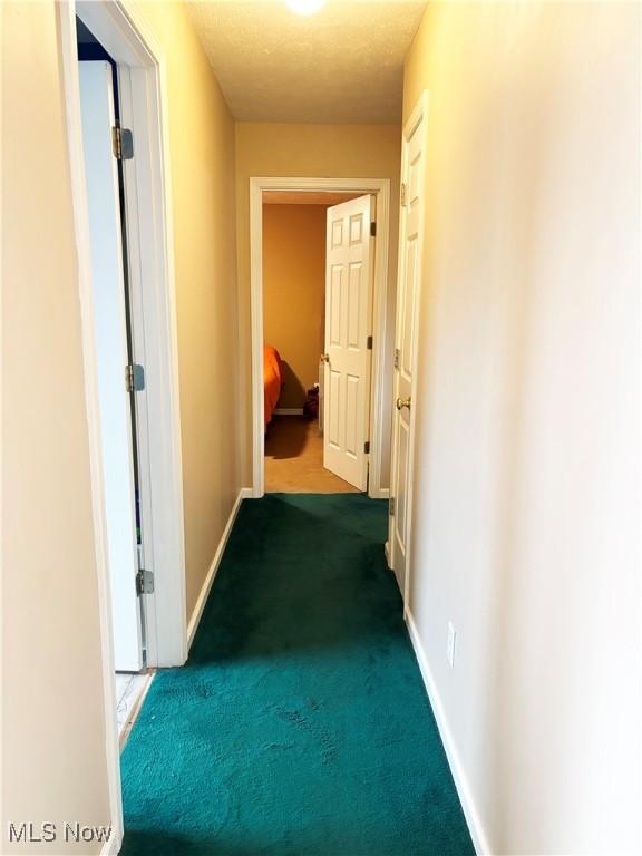 380 Sunshine Park Rd, Steubenville, OH 43952 - hall featuring baseboards and carpet