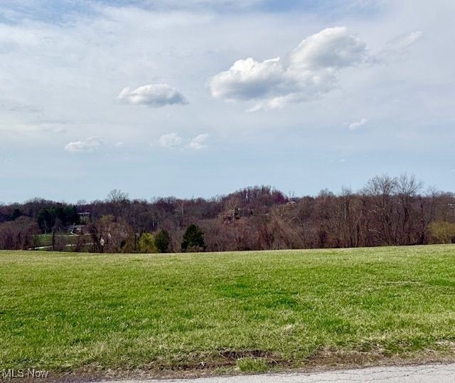 Ellen Dr, Wellsburg, WV 26070 - photo 1