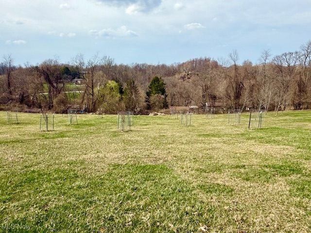 Ellen Dr, Wellsburg, WV 26070 - photo 3