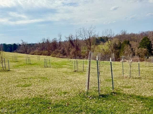 Ellen Dr, Wellsburg, WV 26070 - photo 4