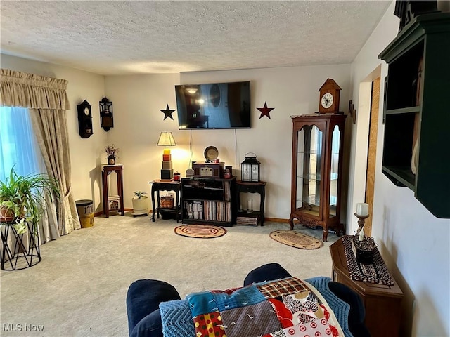 living area with a textured ceiling, baseboards, and carpet floors