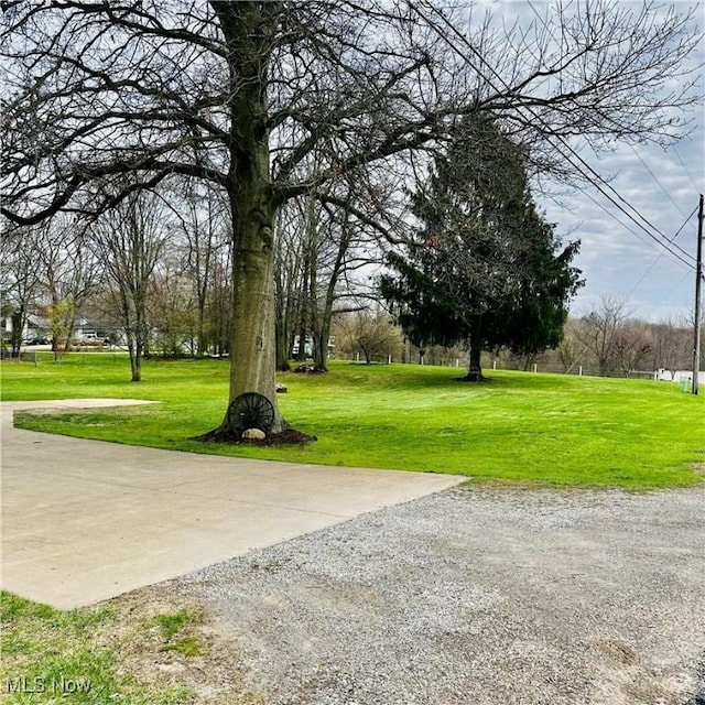 view of home's community with a yard