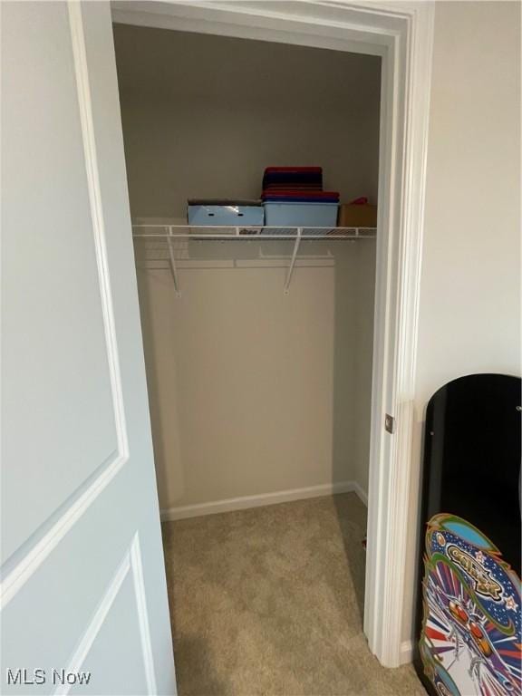 view of closet