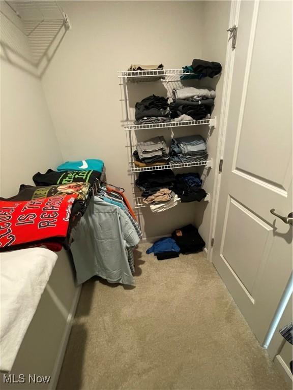 spacious closet featuring carpet