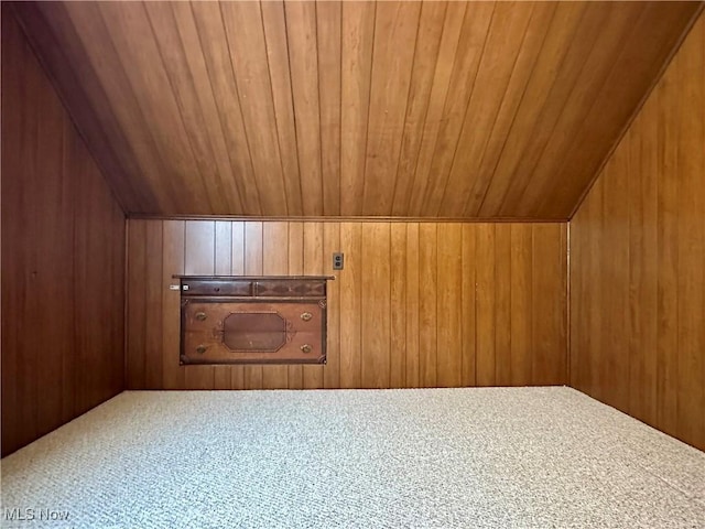 1563 Maplewood St NE, Warren, OH 44483 - additional living space with wooden walls, wooden ceiling, and carpet floors