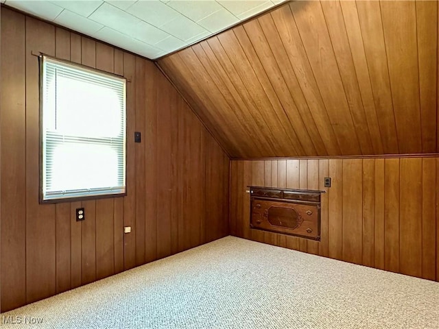 1563 Maplewood St NE, Warren, OH 44483 - bonus room with carpet, wooden walls, and a wealth of natural light