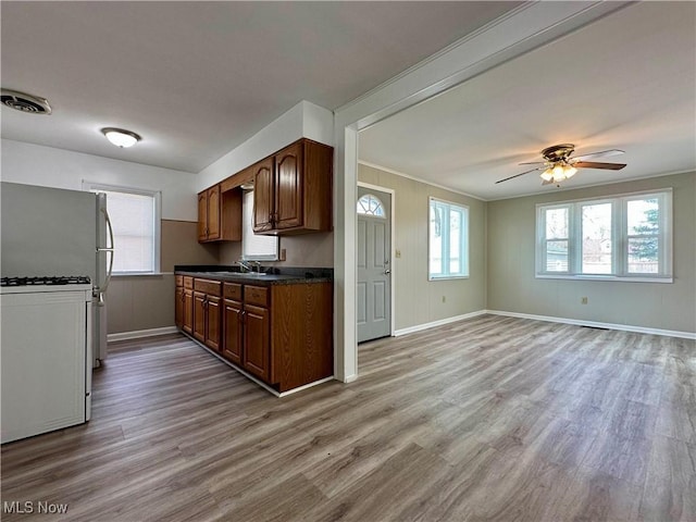 1563 Maplewood St NE, Warren, OH 44483 - kitchen with a sink, wood finished floors, white gas range, visible vents, and dark countertops
