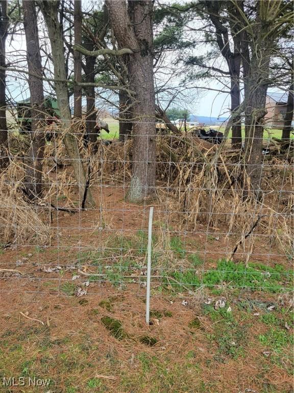 5612 Force Rd, Shreve, OH 44676 - view of nature