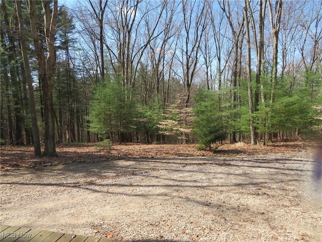 7301 Leafygreen St SW, Carrollton, OH 44615 - view of yard