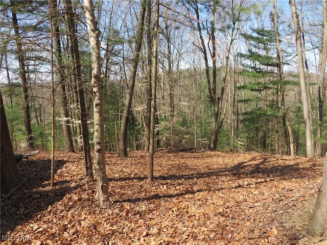 7301 Leafygreen St SW, Carrollton, OH 44615 - view of local wilderness featuring a view of trees