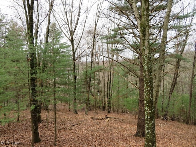 7301 Leafygreen St SW, Carrollton, OH 44615 - view of landscape with a forest view