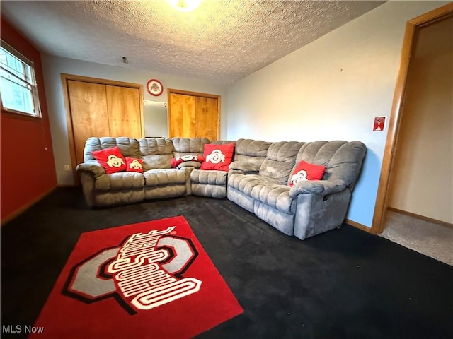carpeted living area featuring baseboards and a textured ceiling