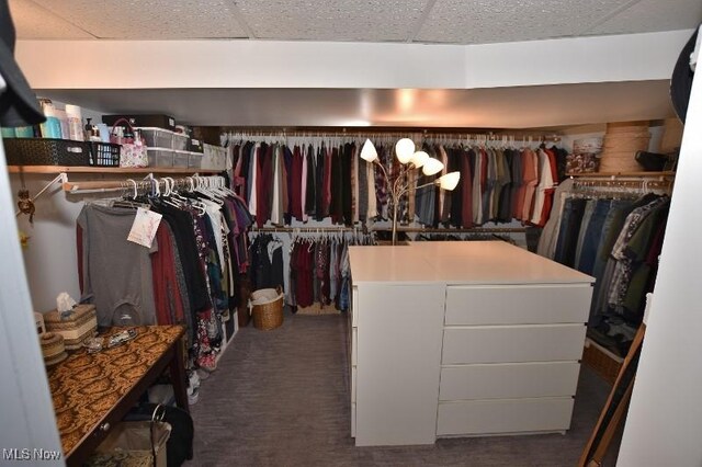 1208 Berwyn Dr SW, Sherrodsville, OH 44675 - walk in closet with carpet flooring