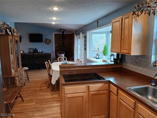25977 E Hornsby Rd, Coolville, OH 45723 - kitchen featuring vaulted ceiling, a sink, light wood finished floors, a wood stove, and black electric cooktop