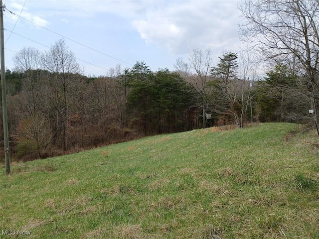 25977 E Hornsby Rd, Coolville, OH 45723 - view of yard featuring a wooded view