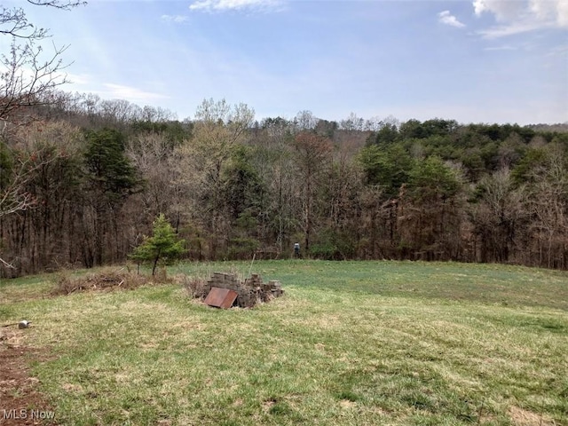 25977 E Hornsby Rd, Coolville, OH 45723 - view of yard with a wooded view