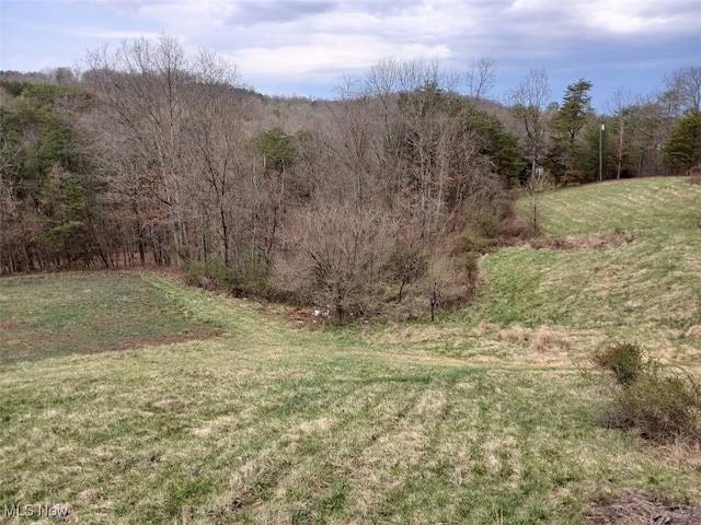 25977 E Hornsby Rd, Coolville, OH 45723 - view of yard with a forest view