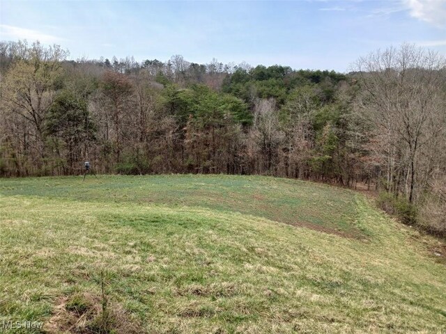 25977 E Hornsby Rd, Coolville, OH 45723 - view of yard with a view of trees