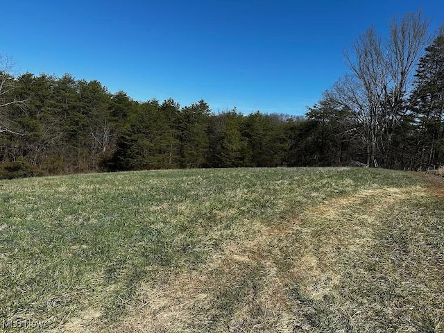 25977 E Hornsby Rd, Coolville, OH 45723 - view of yard with a forest view