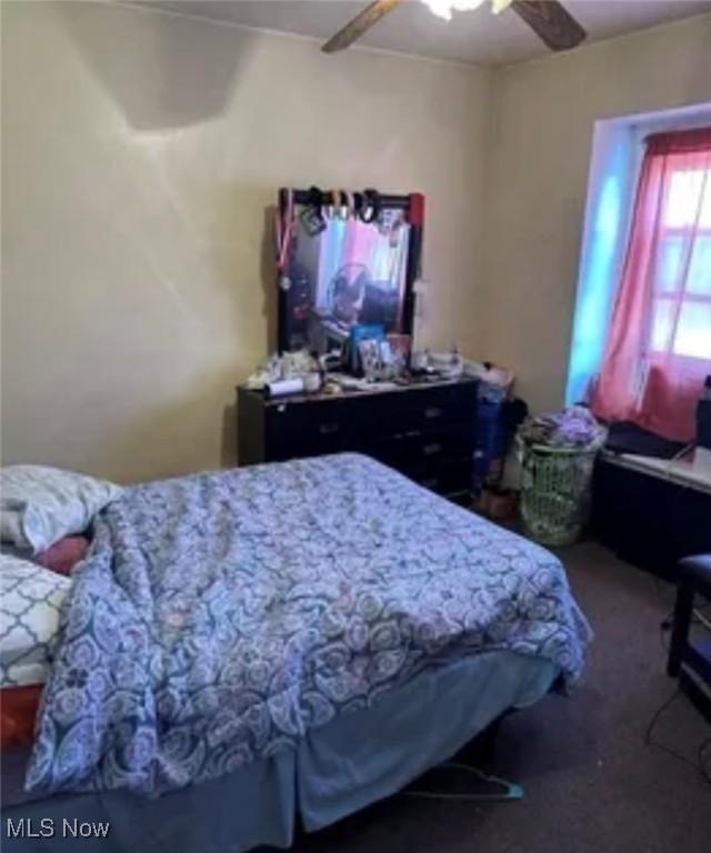 11704 Castlewood Ave, Cleveland, OH 44108 - bedroom with carpet flooring and ceiling fan