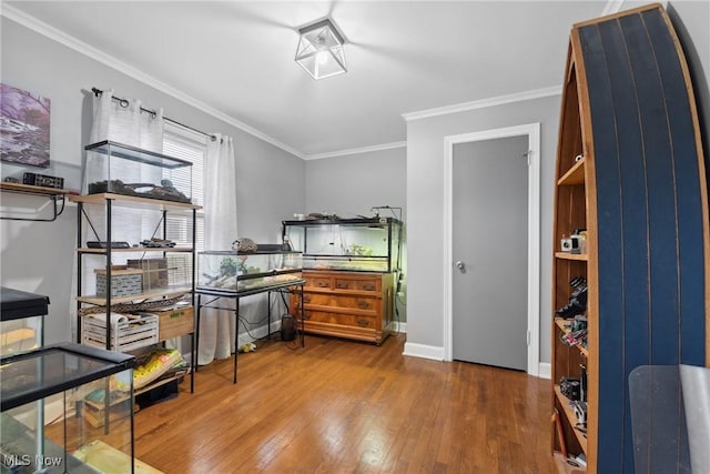 home office featuring ornamental molding, hardwood / wood-style flooring, and baseboards