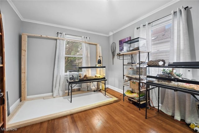 office with wood-type flooring, ornamental molding, and baseboards