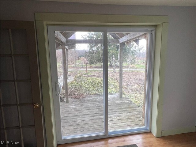 6232 Weaver Rd, Conneaut, OH 44030 - doorway with wood finished floors
