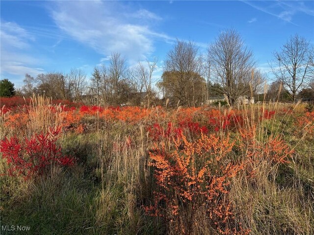 6232 Weaver Rd, Conneaut, OH 44030 - view of landscape