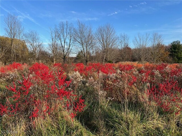 6232 Weaver Rd, Conneaut, OH 44030 - view of nature