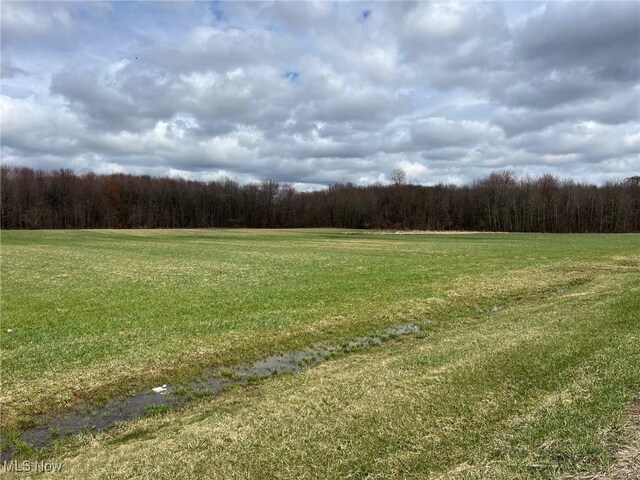 6232 Weaver Rd, Conneaut, OH 44030 - view of yard with a forest view