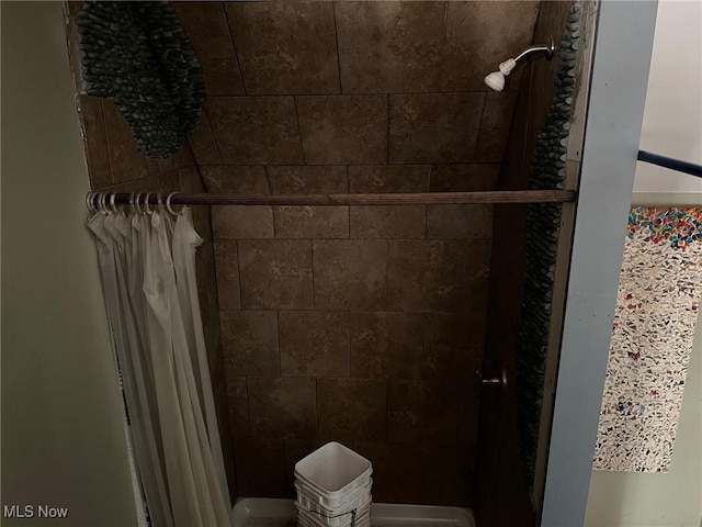 6232 Weaver Rd, Conneaut, OH 44030 - bathroom featuring a shower with shower curtain
