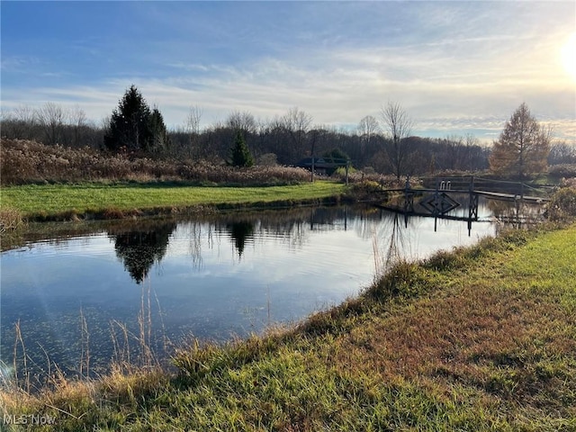 6232 Weaver Rd, Conneaut, OH 44030 - water view