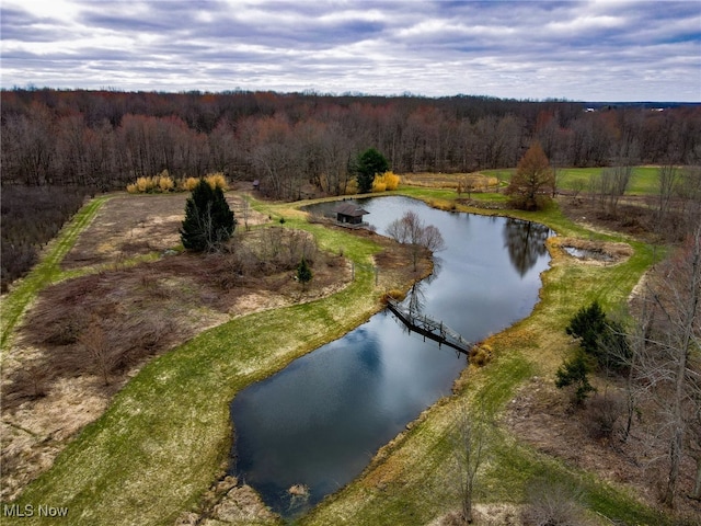 6232 Weaver Rd, Conneaut, OH 44030 - aerial view featuring a forest view and a water view
