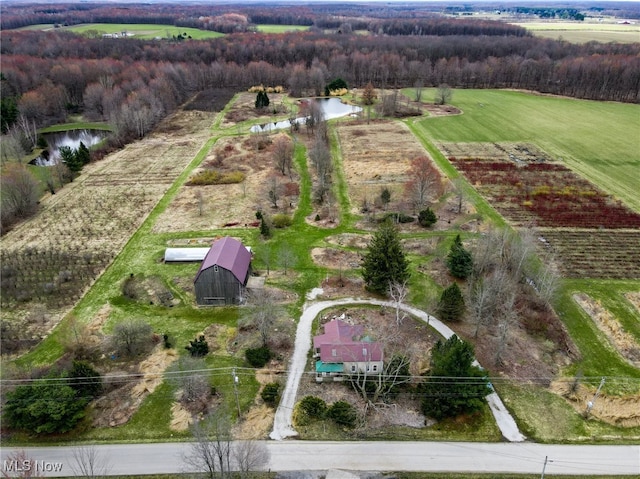 6232 Weaver Rd, Conneaut, OH 44030 - photo 44