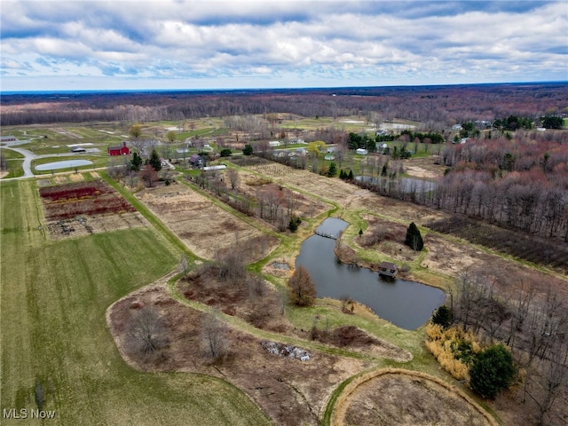 6232 Weaver Rd, Conneaut, OH 44030 - bird's eye view with a water view