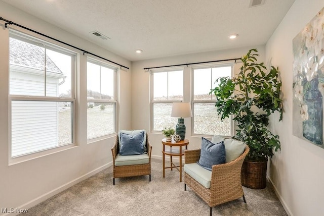 855-2 Dipper Ln, Aurora, OH 44202 - living area featuring carpet floors, recessed lighting, and a textured ceiling