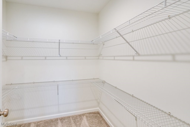 855-2 Dipper Ln, Aurora, OH 44202 - walk in closet featuring carpet flooring