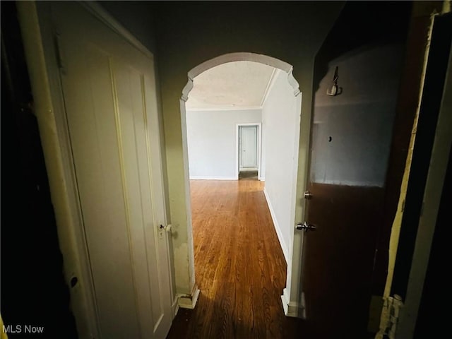 15610 Van Aken Blvd Unit 4, Shaker Heights, OH 44120 - hallway with arched walkways, ornamental molding, and wood finished floors